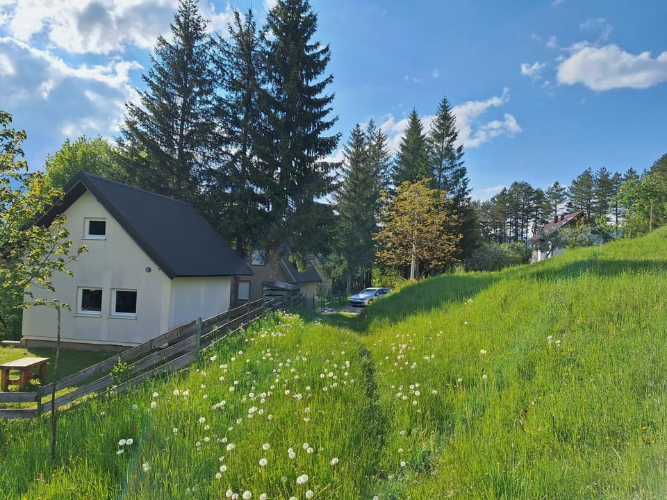 Braun Apartments Apartment in Montenegro