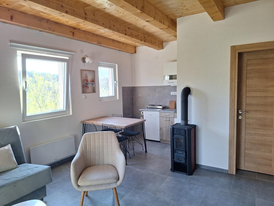 Braun Apartments Apartment in Montenegro