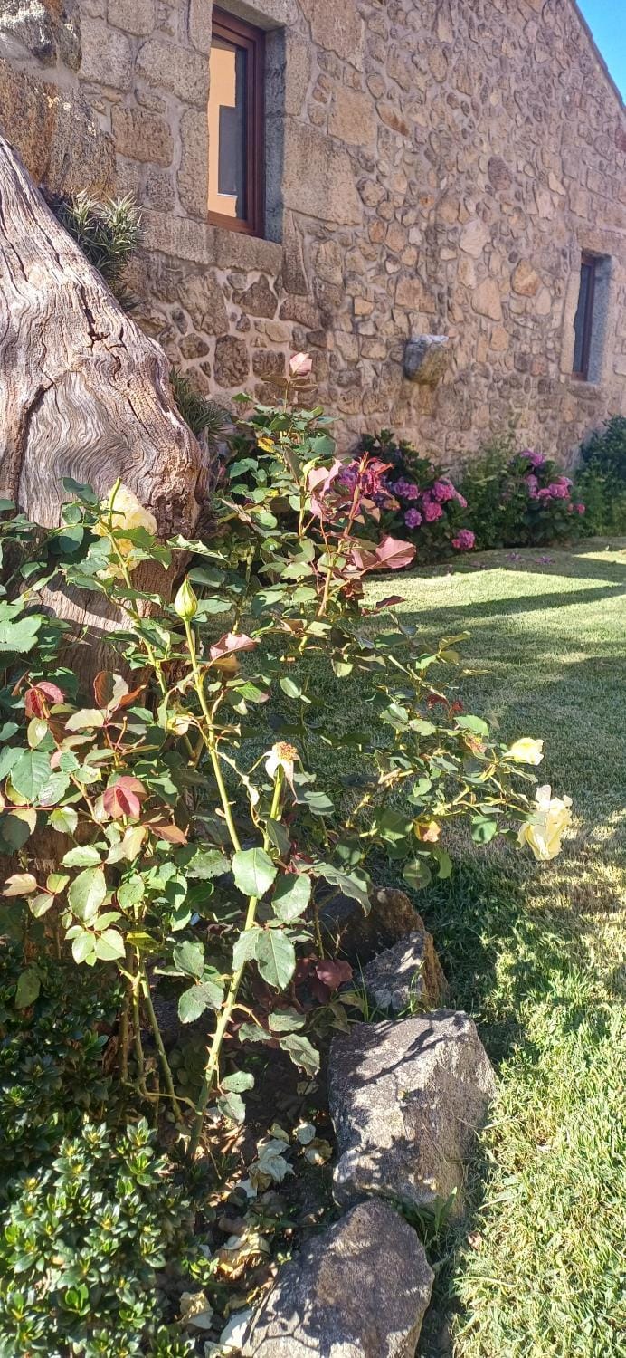 O Celeiro - Espaço Rural Campground/ 
RV Resort in Porto District