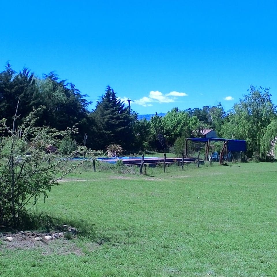 Patio, Spring, Day, Natural landscape, Garden, Garden view