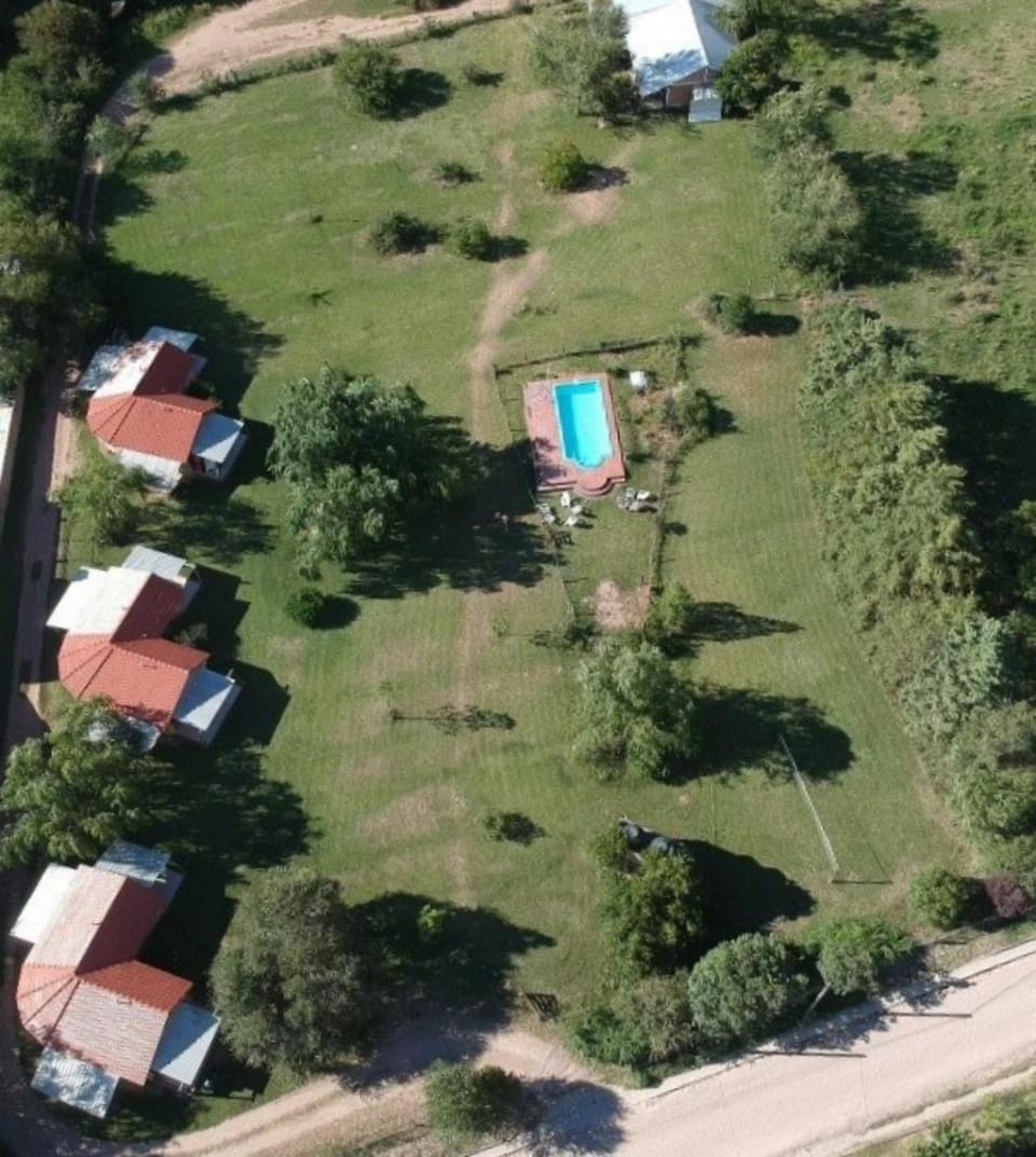Property building, Day, Natural landscape, Bird's eye view, Garden, Garden view, Pool view, Swimming pool