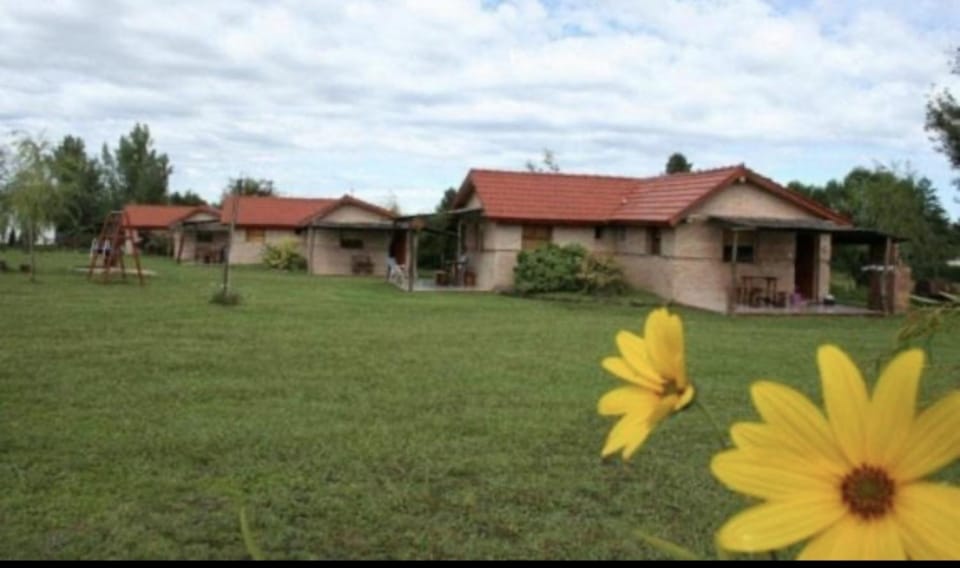 Property building, Spring, Day, Natural landscape, Garden, Garden view
