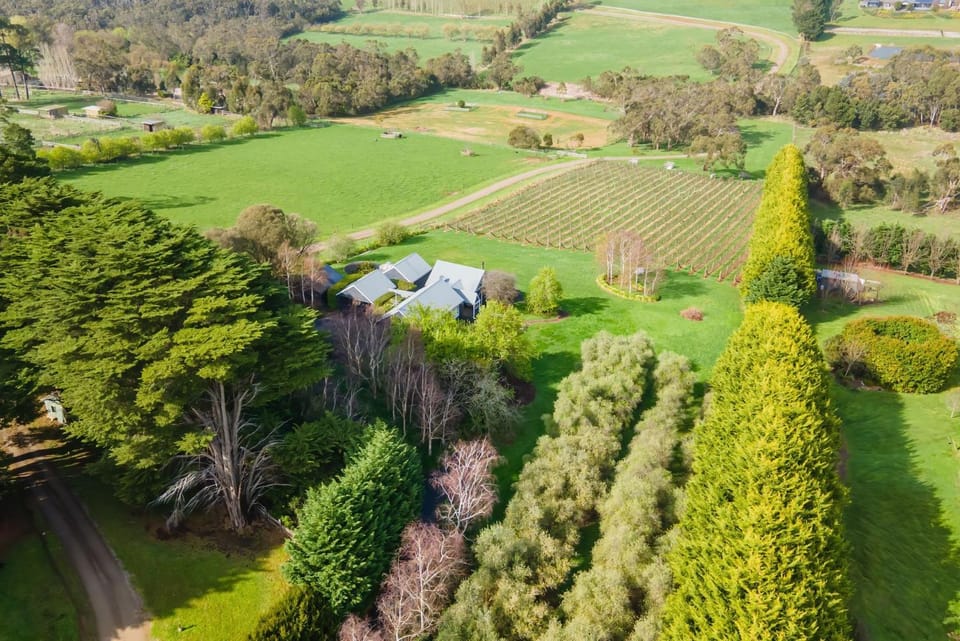 Natural landscape, Bird's eye view, Garden, Garden view