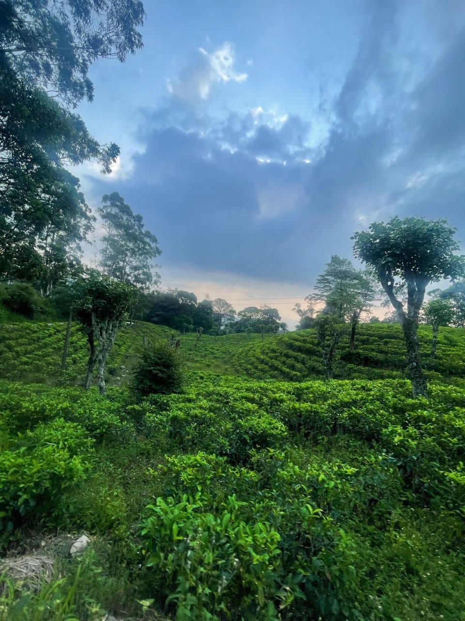 Natural landscape