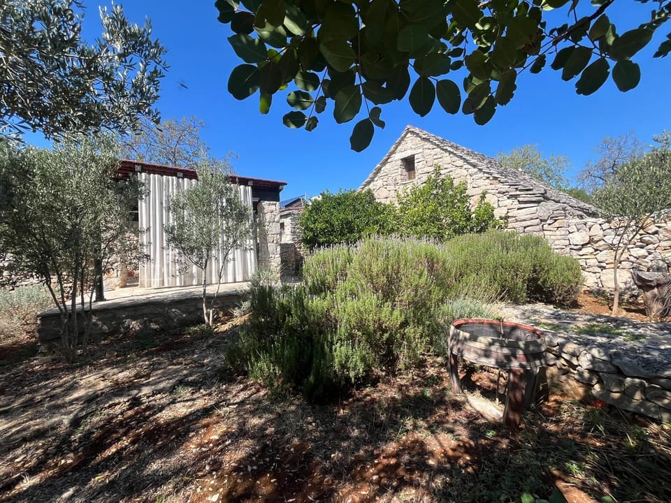 Property building, Day