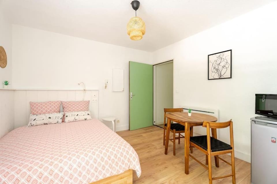 Studio Elie, gare, polygone scientifique Apartment in Grenoble