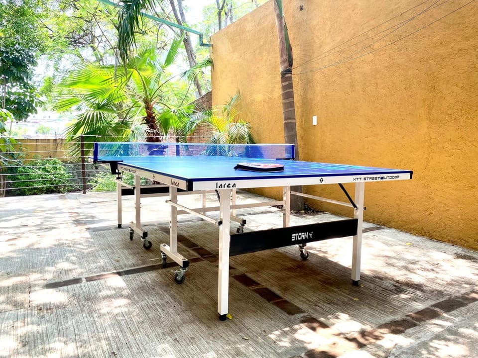 Table tennis, Table tennis