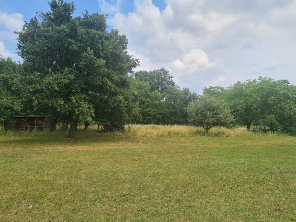 Šuma za odmor Campground/ 
RV Resort in Serbia