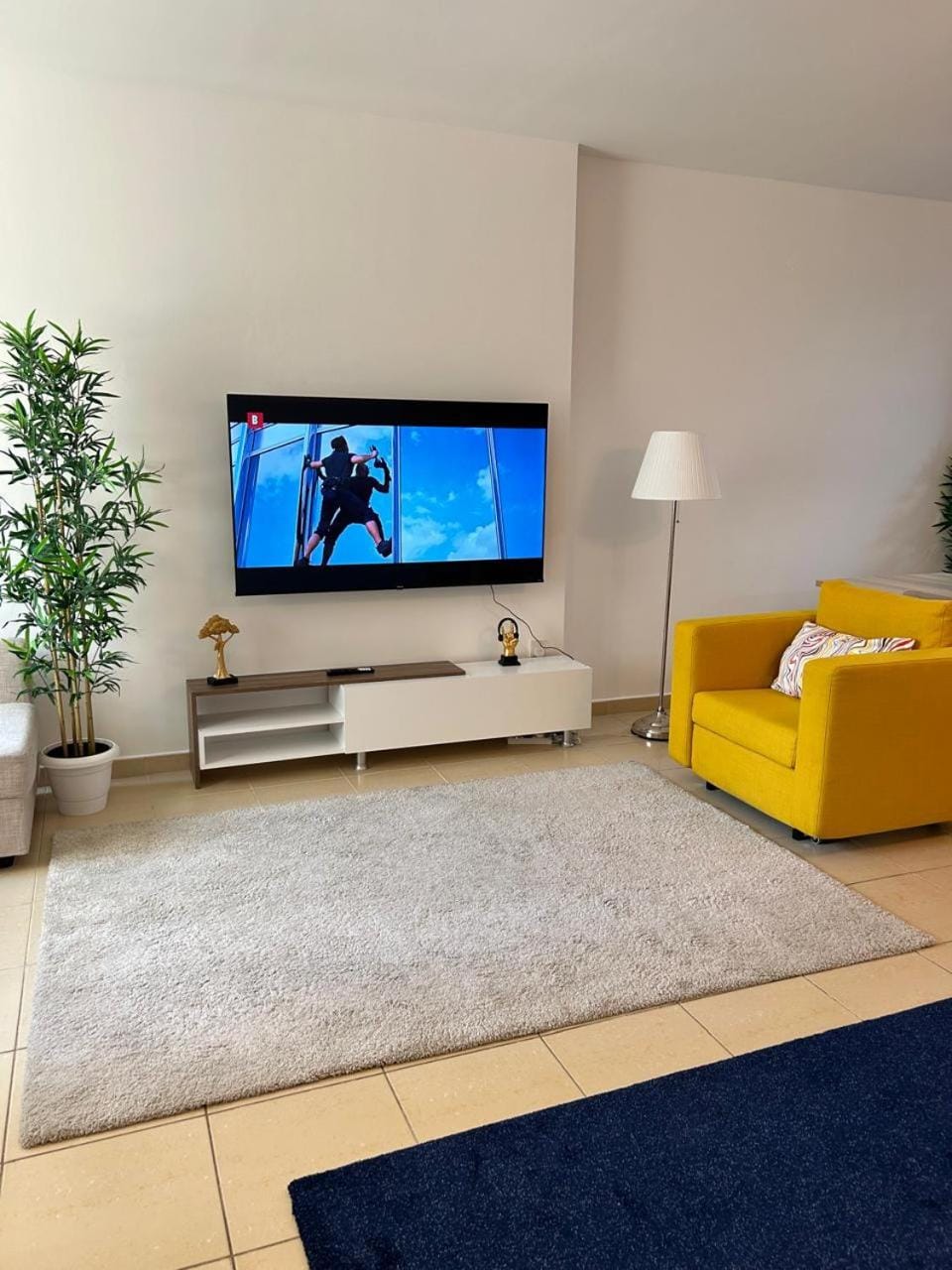 TV and multimedia