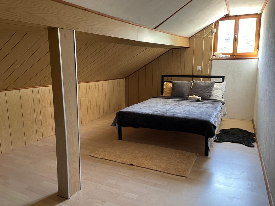 Swiss Village House Apartment in Canton of Ticino