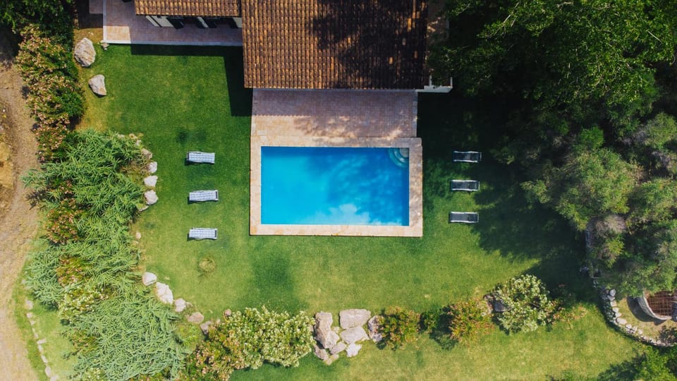 Bird's eye view, Garden, Swimming pool