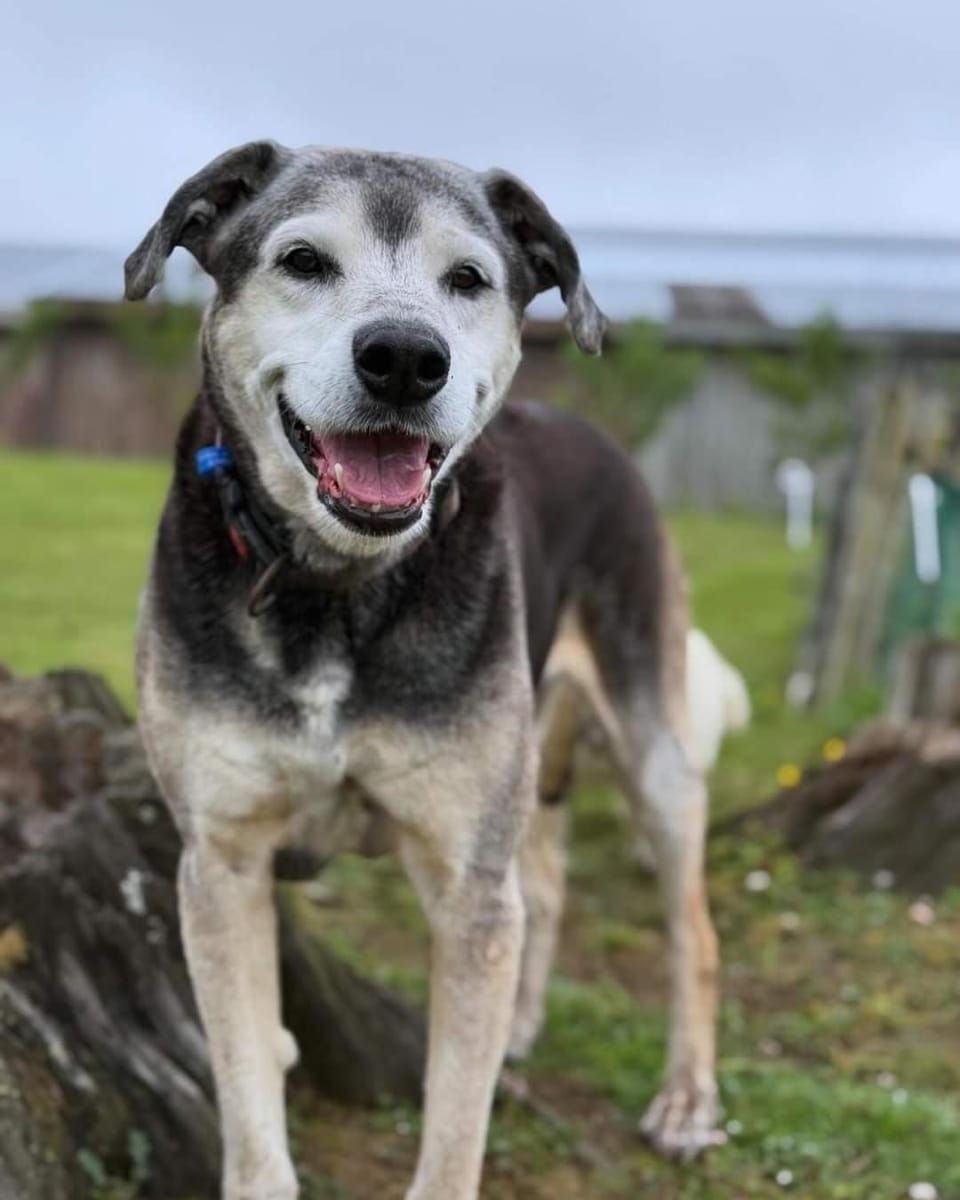 The Grays Vacation rental in Whangārei