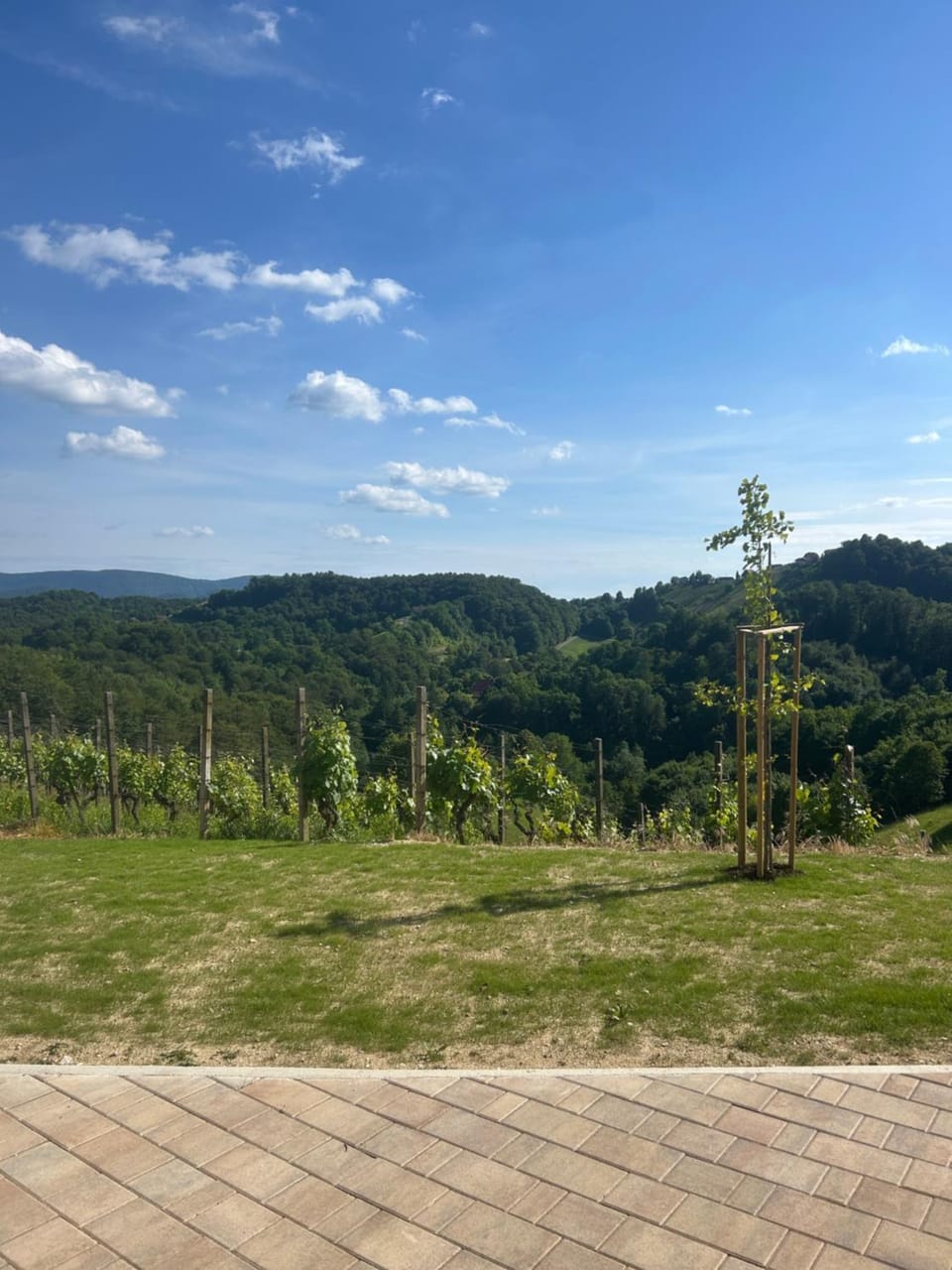 Natural landscape