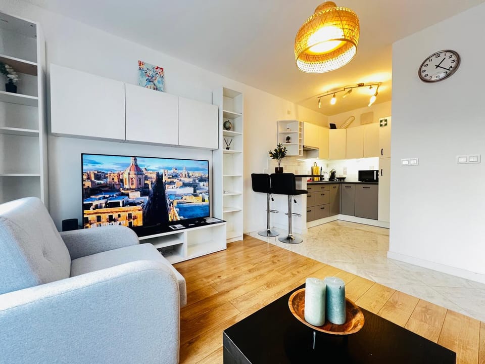 TV and multimedia, Kitchen or kitchenette, Living room, Seating area, Evening entertainment, minibar, oven, pet friendly, stove