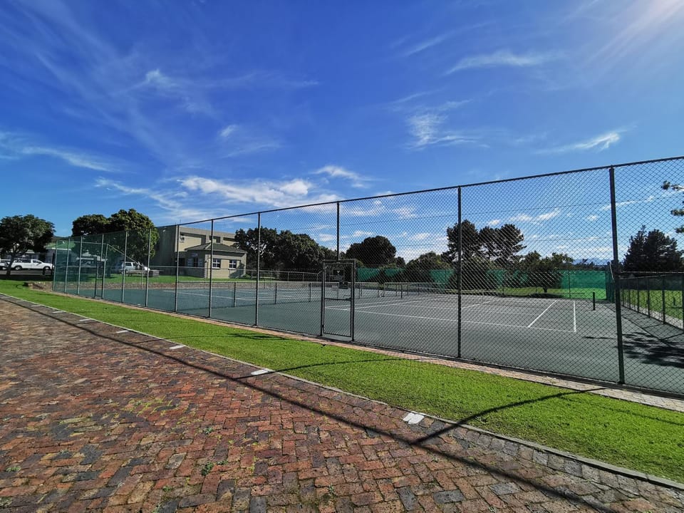 Tennis court, Tennis court