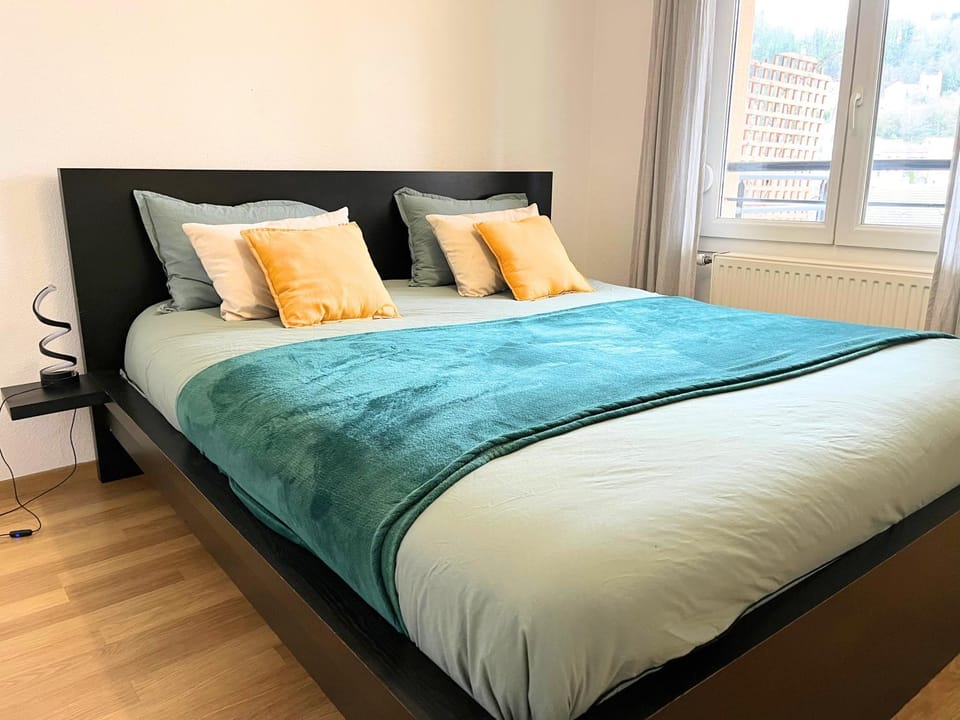 TheSkyFall , cosy appartement, terrasse & parking Apartment in Grand Est