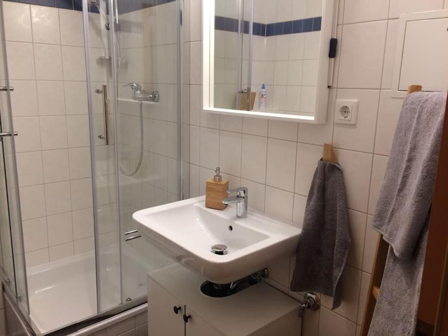 Studio in It District Neustadt Louisenstraße Apartment in Dresden-Neustadt