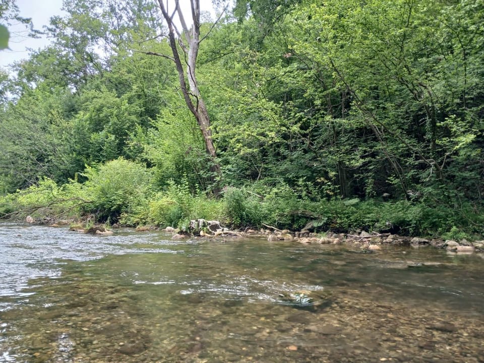 River view