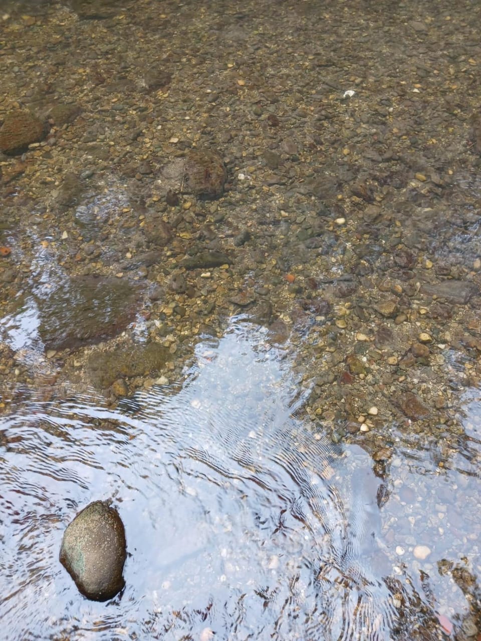 River view