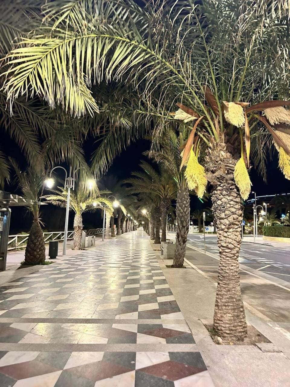 Night, Natural landscape, Location