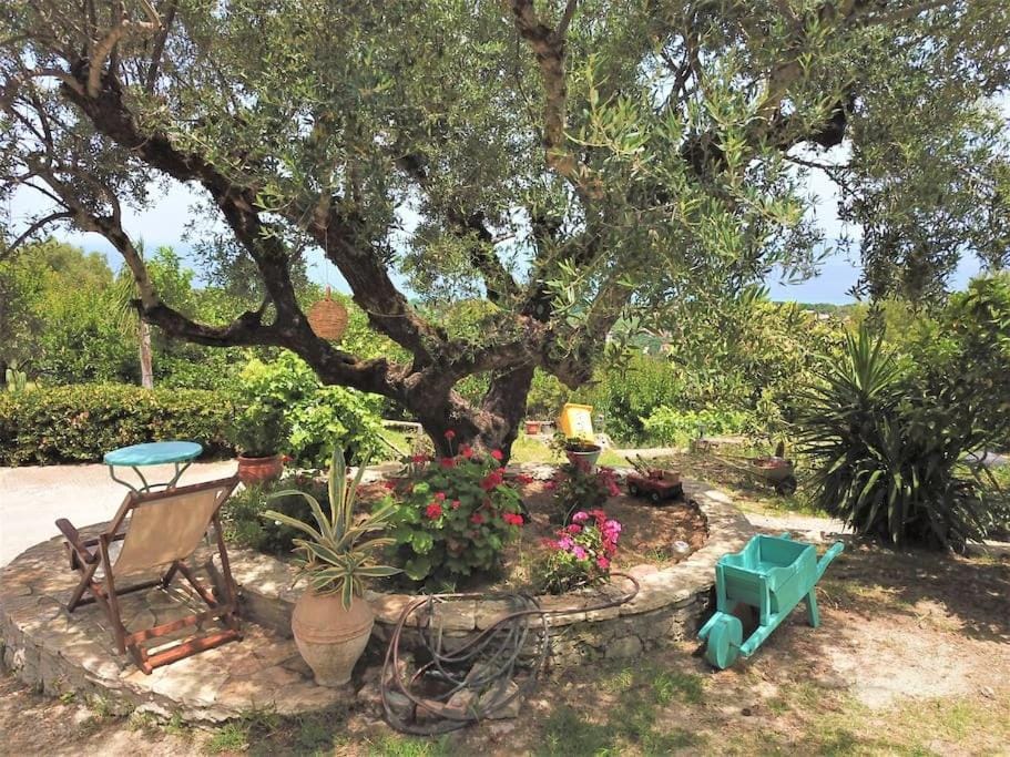 Alta Mare Villa - up to 13p House in Zakynthos, Greece