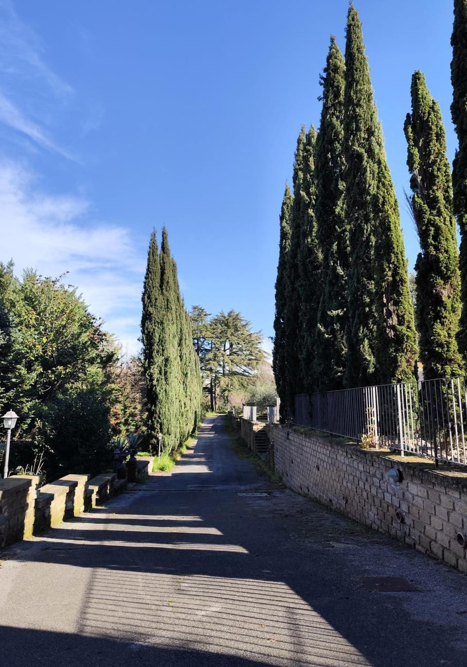 Natural landscape, Garden