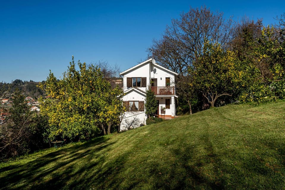 Property building, Natural landscape, Garden, Garden view
