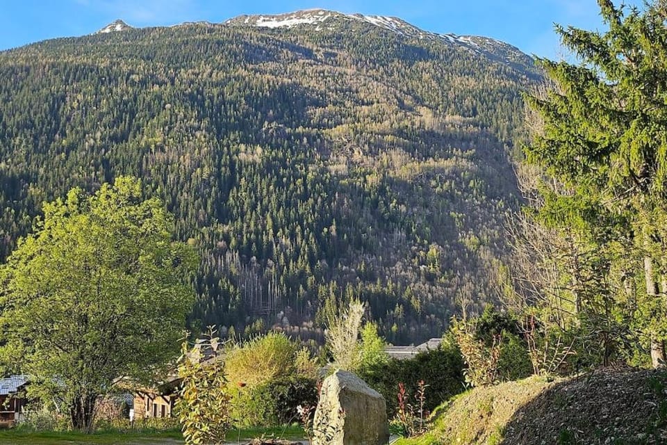 Studio Saint Antoine Les Houches Apartment in Les Houches