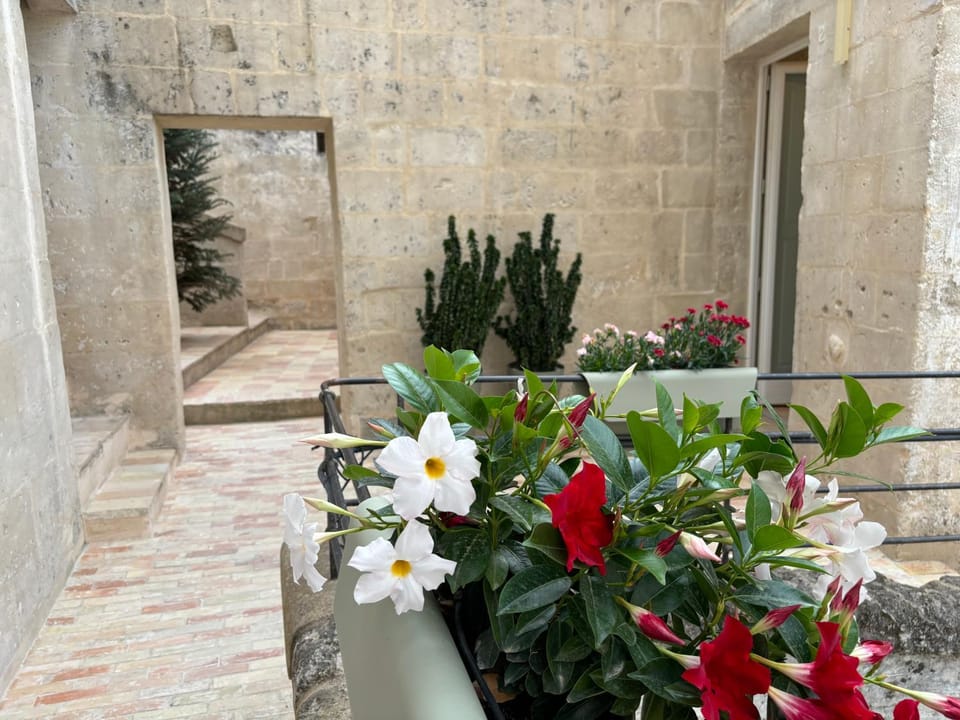 Inner courtyard view