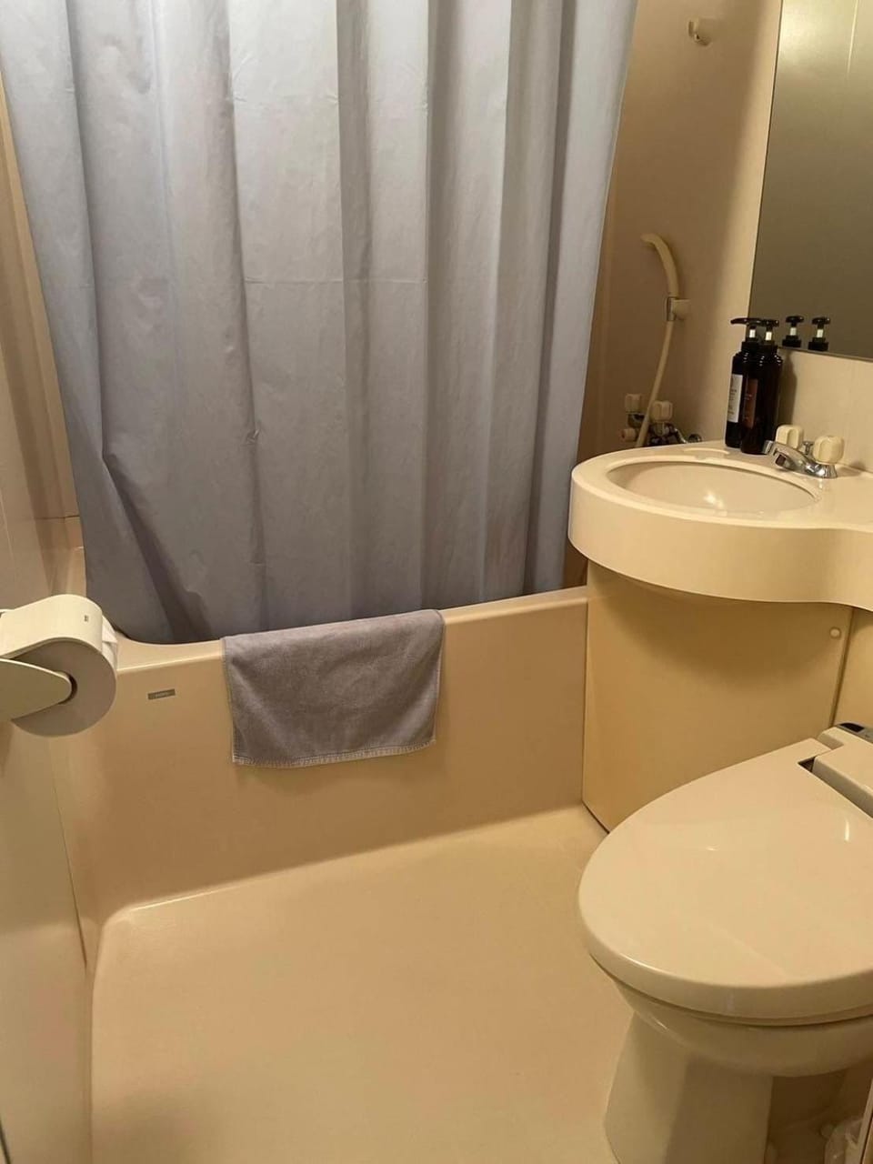 Toilet, Bathroom, Bath