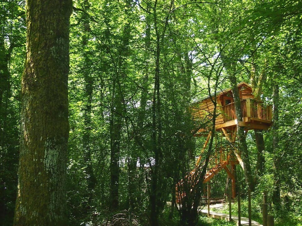 Beigorri Basoa Suites House in Navarre