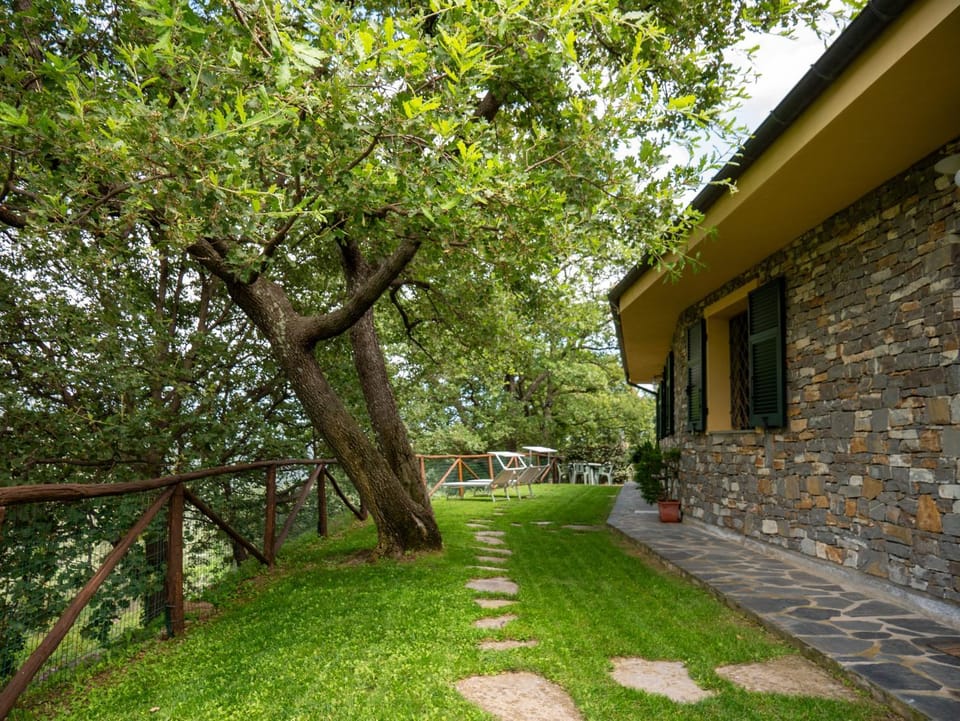 Property building, Spring, Day, Natural landscape, Garden, Garden view