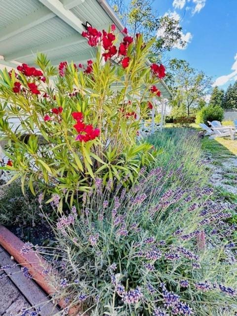 Garden, Garden view
