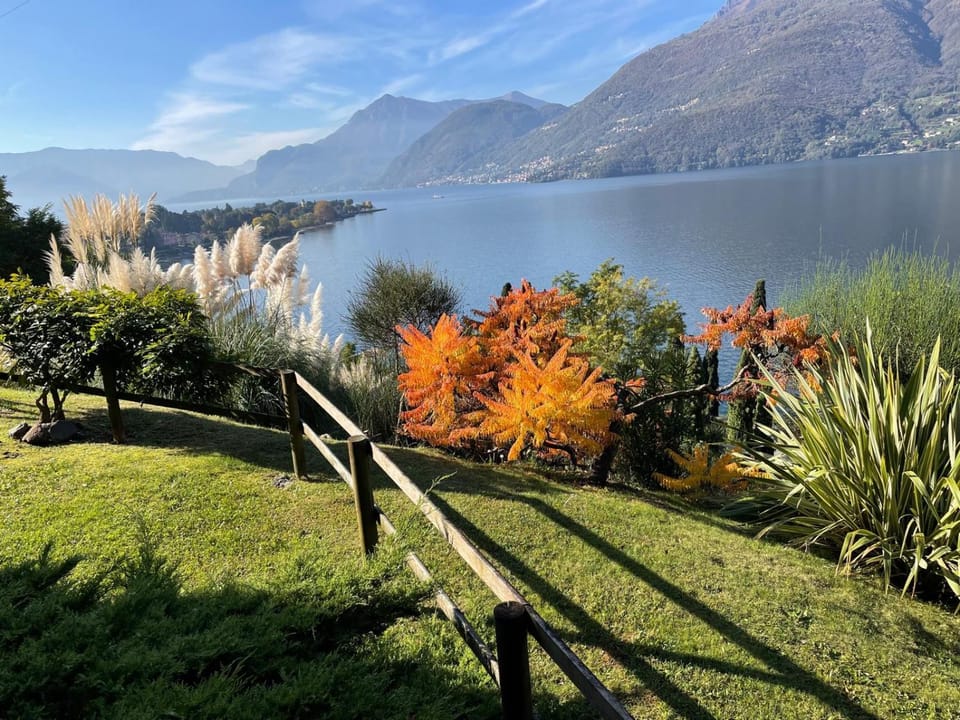 Lake view