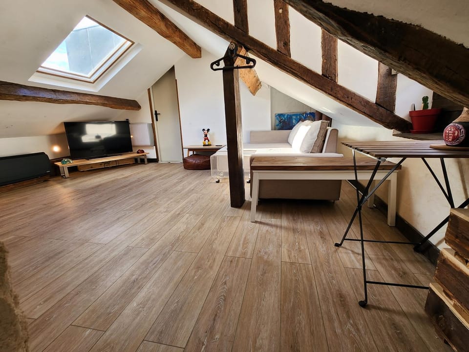 View Eiffel Tower Apartment in Paris