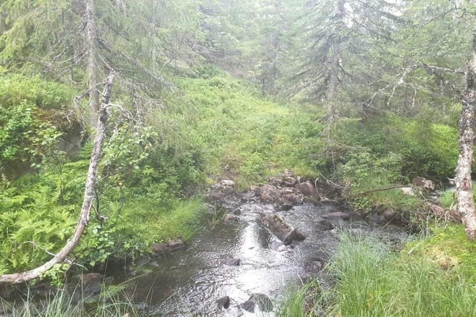 Spring, Natural landscape, Hiking