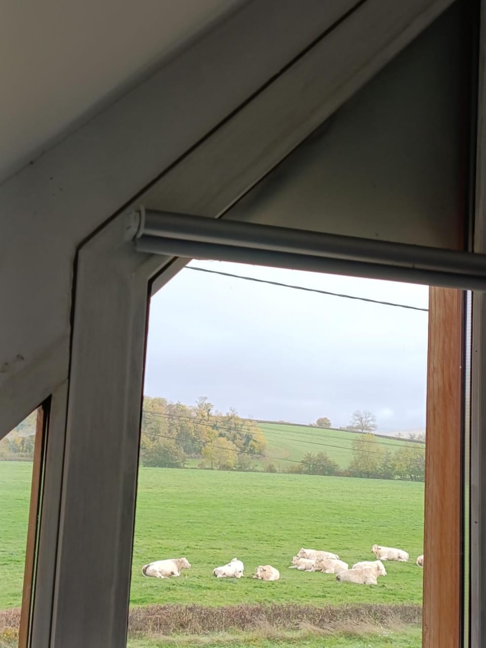 gite des palmiers House in Bourgogne-Franche-Comté