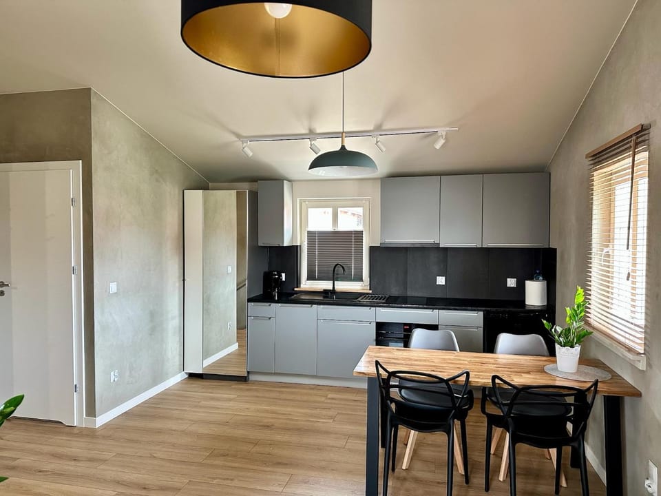 Kitchen or kitchenette, Dining area, oven, stove