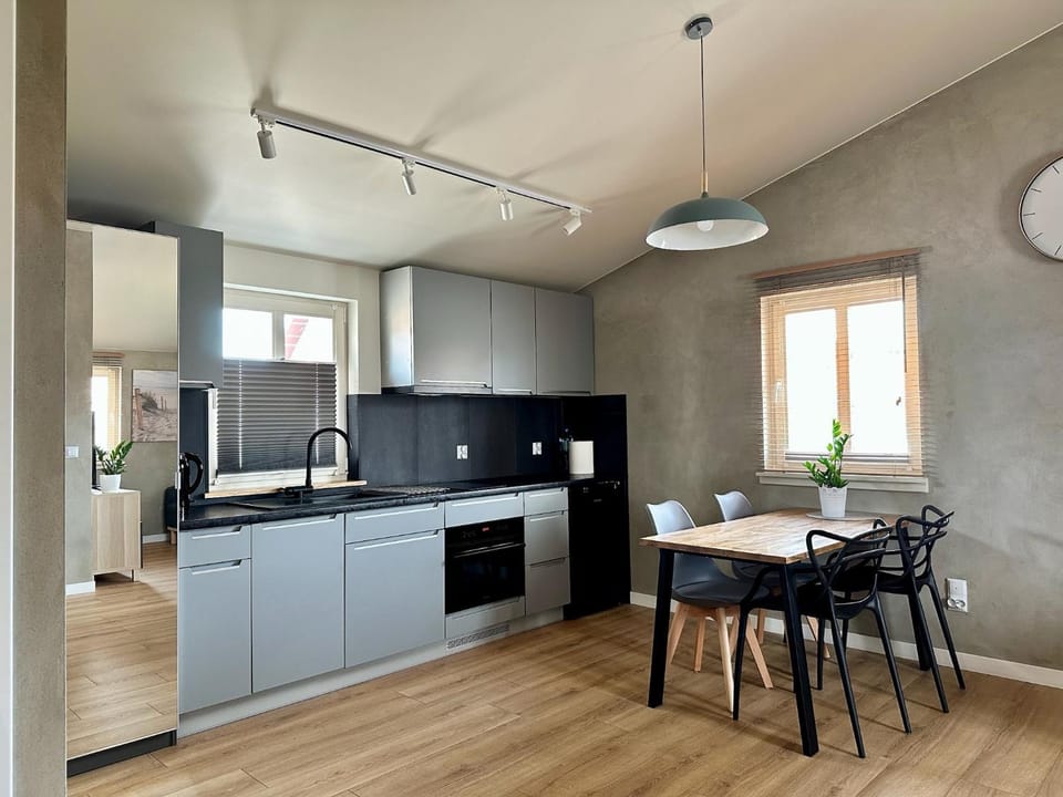 Kitchen or kitchenette, Dining area, dishwasher, oven