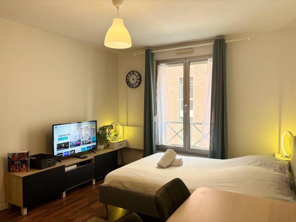 Appartement en hyper-centre de Lille Apartment in Lille