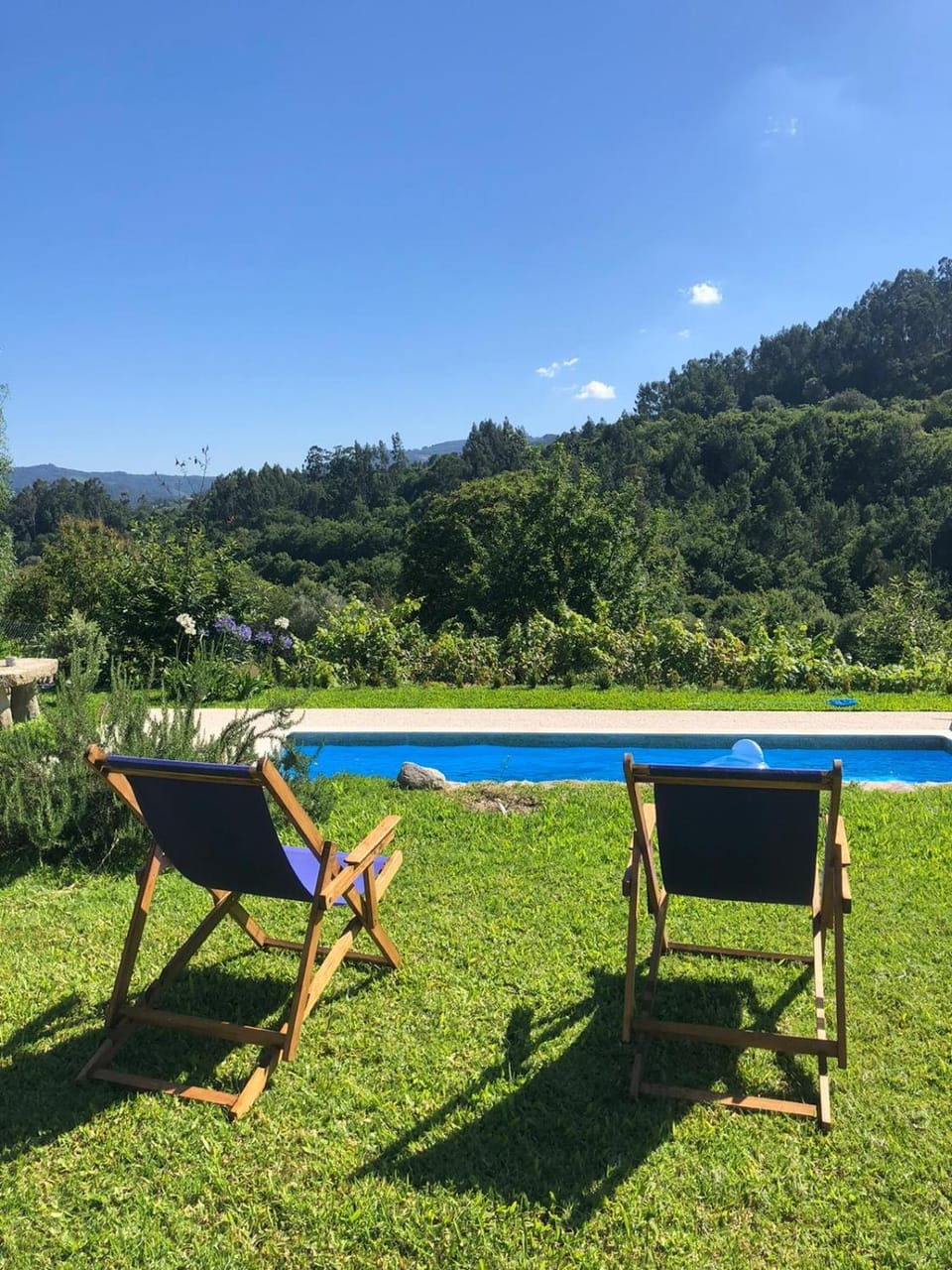 Natural landscape, Garden, Mountain view, Swimming pool