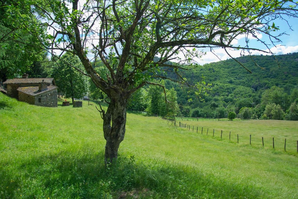 Gîtes de france 2 personnes à la bastide House in Auvergne-Rhône-Alpes