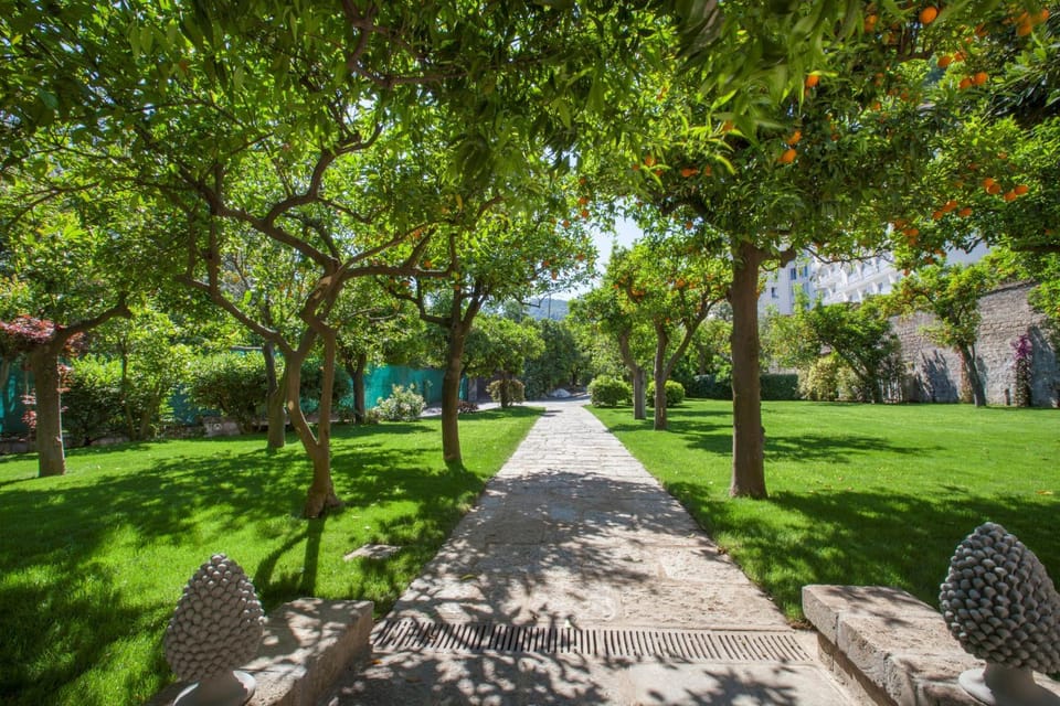 Patio, Garden, Garden, Garden view