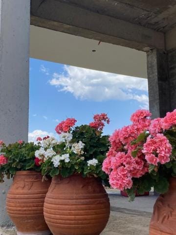 Diana studios Apartment in Halkidiki