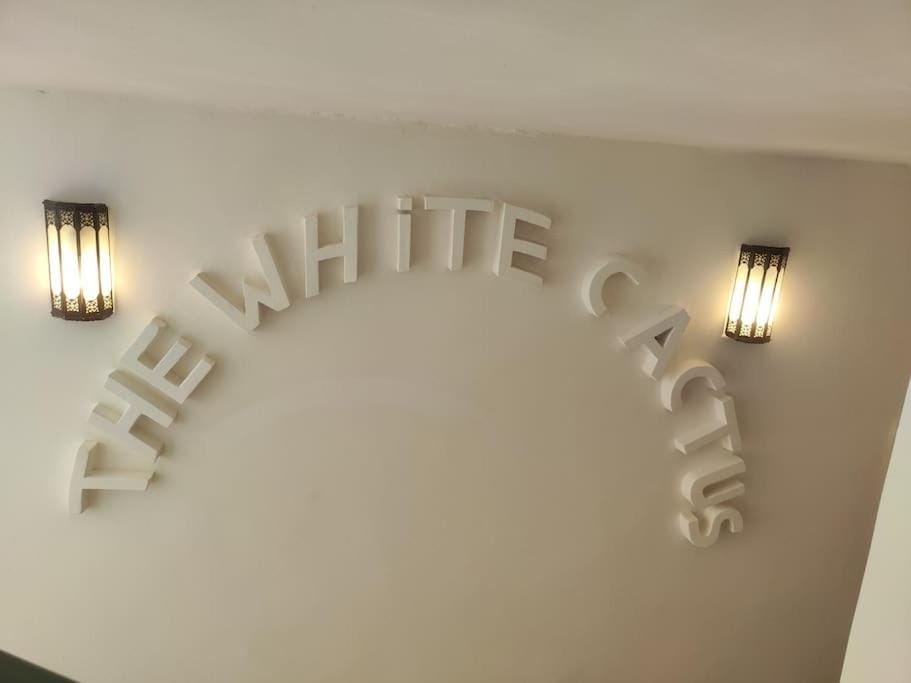 Riad White Cactus Villa in Marrakesh