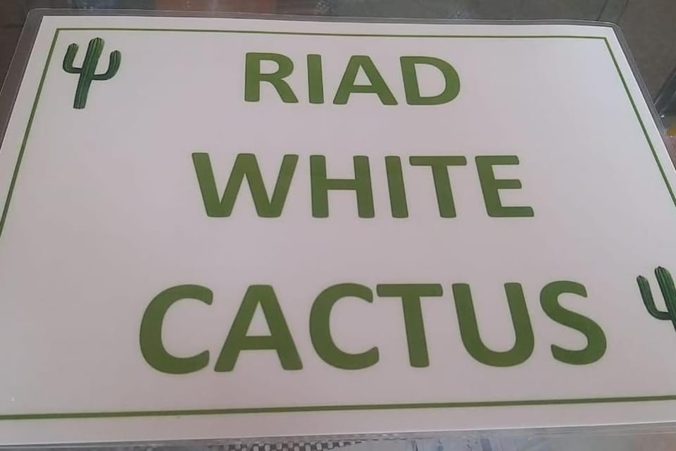 Riad White Cactus Villa in Marrakesh