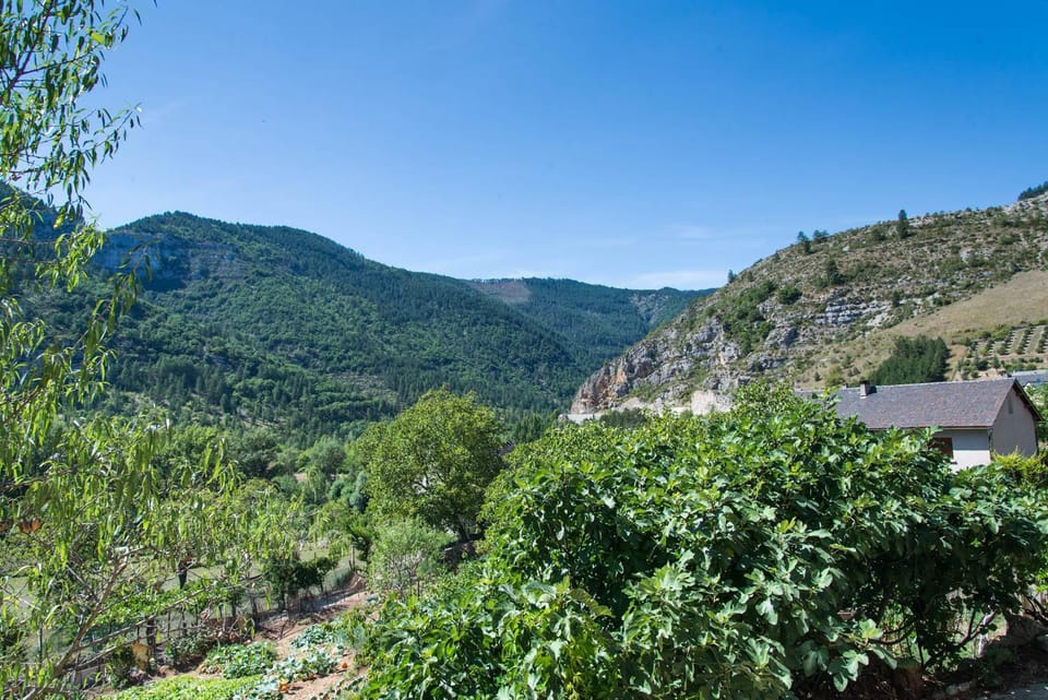 Le chardon a blajoux House in Auvergne-Rhône-Alpes