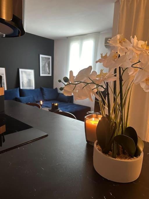 Appartement neuf et rénové promenade des anglais Apartment in Nice
