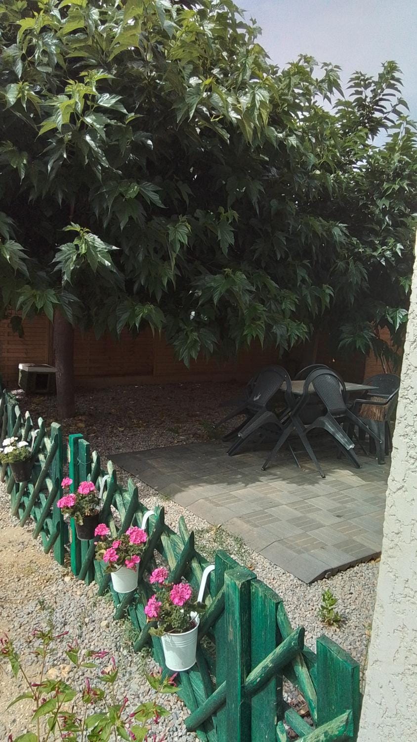 Garden view