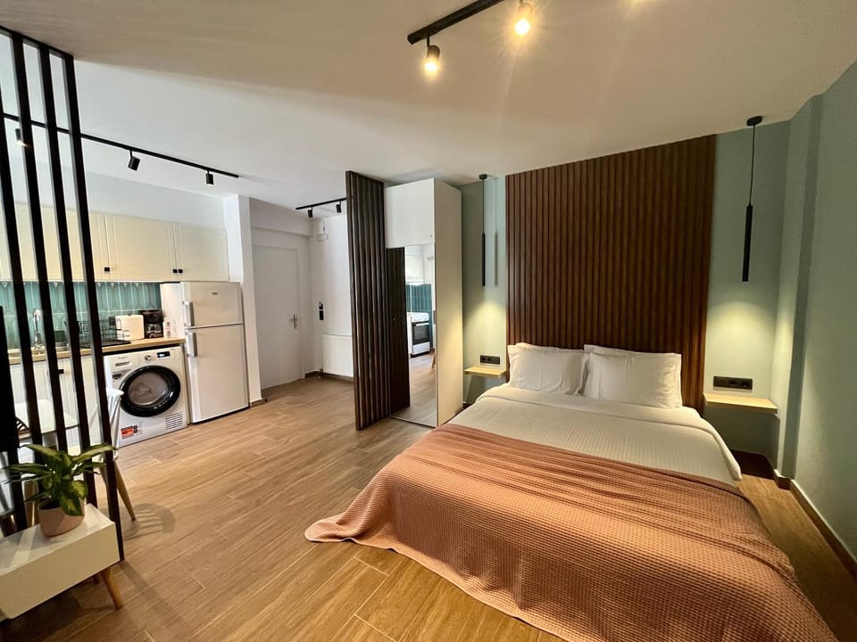 Bed, Kitchen or kitchenette, Photo of the whole room, Bedroom, wardrobe, dryer